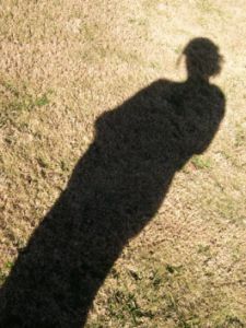Why Bother To Stop Projecting Your Shadow?