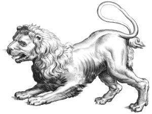 Leo lion drawing
