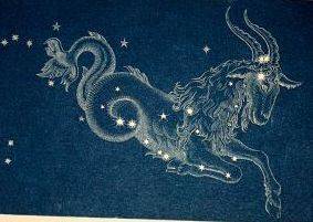 capricorn blue goat