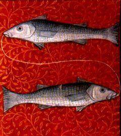 pisces fishes
