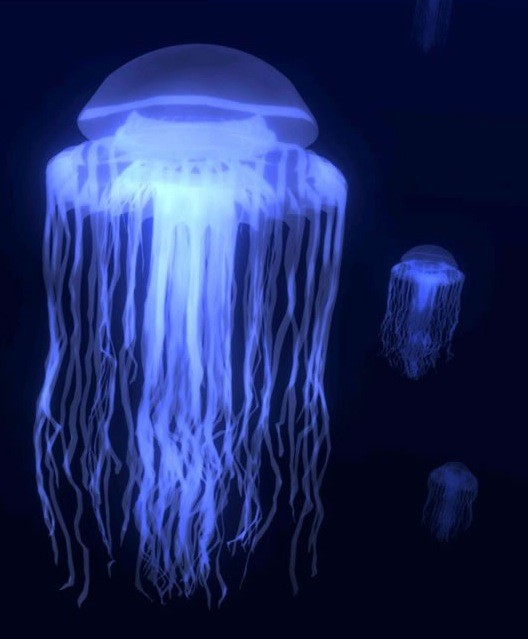 jellyfish- Pisces moon