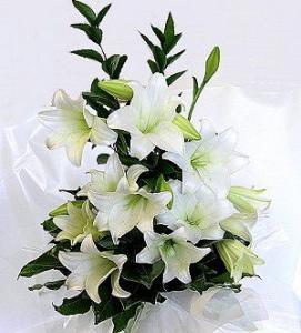 funeral lilies