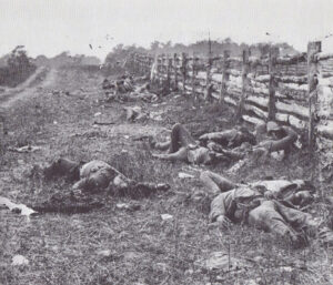 Civil War Dead Antietam