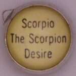 Observing Scorpio In Nature