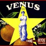 Venus, Love and Money – What’s Your Currency?