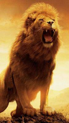 leo lion roar