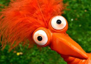 weird orange bird