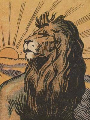 leo sun lion